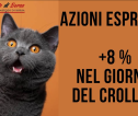 [VIDEO] Azioni Esprinet +8% nel giorno del crollo ? A volte la fortuna aiuta gli audaci e oggi è stato così